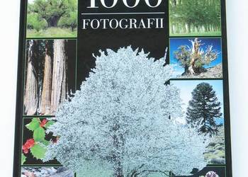Drzewa 1000 fotografii - Michel Viar