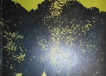 Plama na Złotej Puszczy - Bolesław Mrówczyński