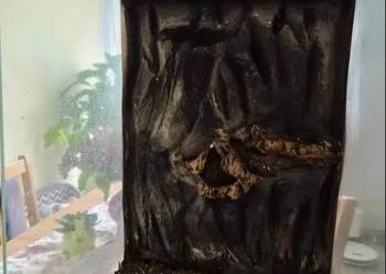 Terrarium dla gekona 40x40x60