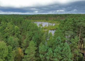 WŁASNY LAS I DOM 260 M² , 6,2 HA PRYWATNEJ PRZESTRZENI - TUSZKOWY