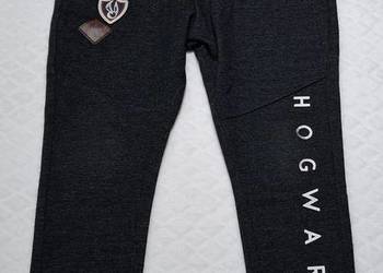 Spodnie dresowe, chłopięce, Hogwarts, Harry Potter, 134 (Odzież)