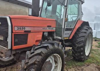Massey Ferguson 3630