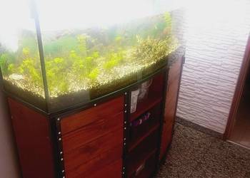 Akwarium szafka pompka zamiana prl