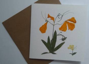 KARTKI KWIATOWE Okolicznościowe Ręczne Wykonanie Hand Made KARTKI KWIATOWE Okolicznościowe Ręczne Wykonanie Hand Made