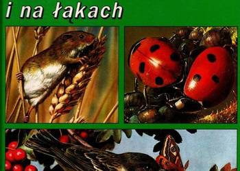 Tajemnice Zwierzat - "Na Polach i Na Lakach" (TWARDA OPRAWA) Tajemnice Zwierzat - "Na Polach i Na Lakach" (TWARDA OPRAWA)