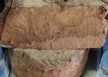 drzewo drewno pieńki na ognisko opał mega pilne