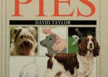 TY I TWÓJ PIES - TAYLOR D.