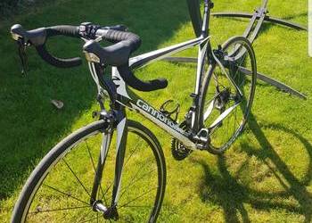 Rower Cannondale 105 Synapse