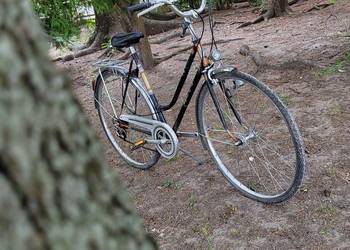 Szwajcarska Damka Retro ALPINA Super Sport (Cilo)