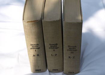 3-tomowy słownik języka polskiego