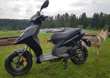 Piaggio typhon 2006 rok. Uszkodzony