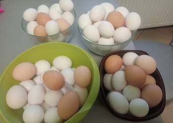 Jaka Jajka wiejskie z wolnego wybiegu