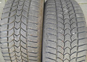 opony zimowe DĘBICA 205/55R16   4 sztuki
