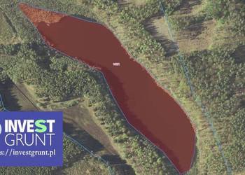 [6,03 ha] przetarg na dzierżawę jeziora