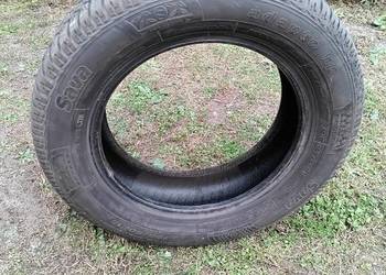 Opona wielosezonowa 195/60 R15 SAVA