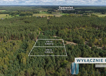 Ogłoszenie działka Opaleniec 3007m2
