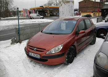 Peugeot 307 z gazem/ gaz do 2031 r. I (2001-2005)