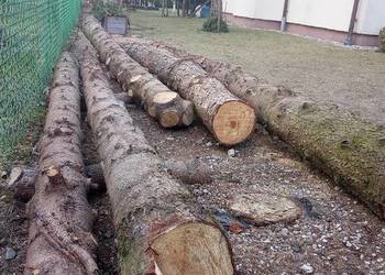 Sprzedam Kłody- kloce sosna, świerk