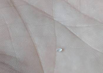 Sprzedam diament