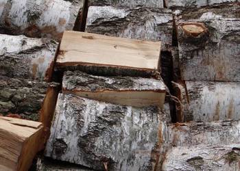 Drewno kominkowe Świdwin i okolice