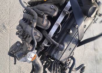 Kia Hyundai 1.25 CVVT 86KM silnik kompletny G4LA z zmiennymi fazami