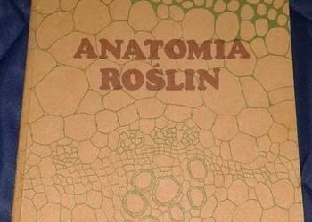 Anatomia roślin - Edmund Malinowski