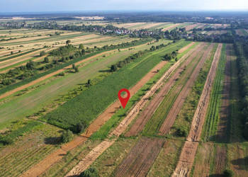 Grunt sprzedam Majdan Nepryski 30480m2