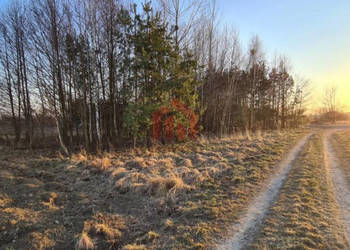 Grunt Dąbrowica 15000m2
