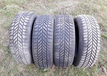 Opony zimowe Dębica 195/65 R15 – komplet 4 sztuki