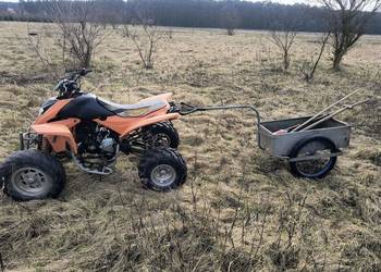 Quad 250 shineray