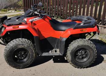 Arctic cat alterra 450 (500) 4x4