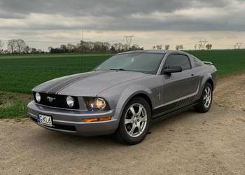 Ford Mustang V 4.0 V6 | Manual | LPG | Coupe | 2006