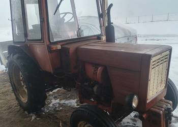 Sprzedam Władymira t25