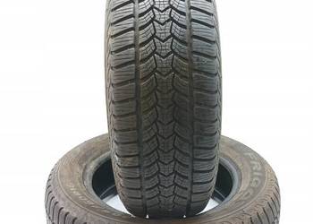 2x OPONA ZIMOWA DĘBICA FRIGO HP2 205/60R16 (2424)9.00 8.82