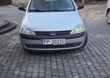 Corsa c  zdrowy