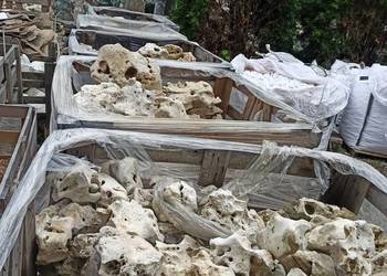 Wapień Filipiński Skała Bryła Biały Kamień Tanganika Malawi Iwagumi