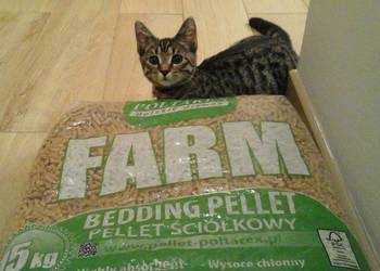 Pellet ściółkowy dla zwierząt Farm. Worek 15 kg. Wysyłka.