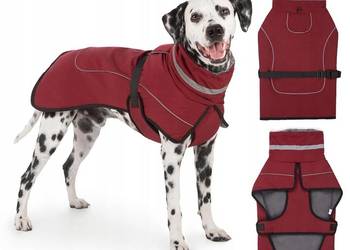 Kurteczka Axcimond czerwony XXL