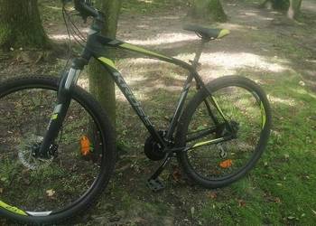 Rower Kross hexagon 5.0