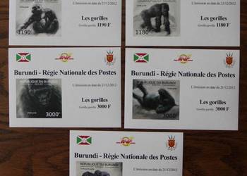 Burundi goryle