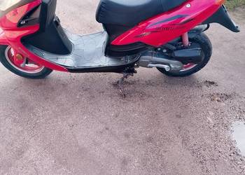 Zipp quantum 2t+ kuferek z tyłu