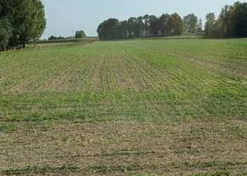 Działka budowlana Zofiówka