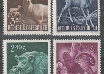 AUSTRIA - ZWIERZYNA LEŚNA - CZYSTE **