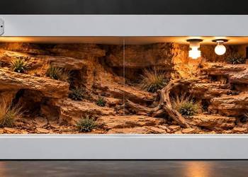 Terrarium pustynne dla gekona lamparciego agamy brodatej