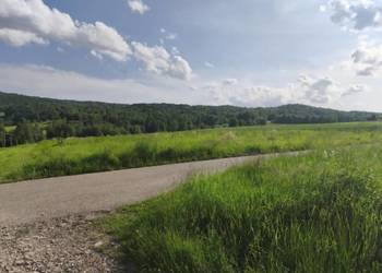 Lipnica Dolna – 7 hektarów, 33 ary: dwie działki rolne i las