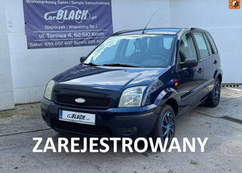 Ford Fusion Bezwypadkowy