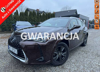 Lexus UX 250H 43 tyś km Ast. Pasa Distronic kamera Super