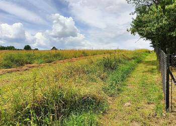 Działka budowlano- inwestycyjna w Ryglicach