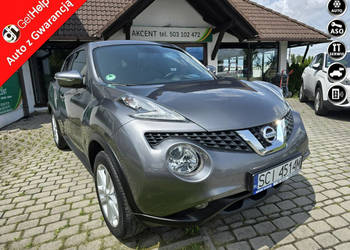 Nissan Juke Oryginał 100%, niski stan licznika. I (2010-2019)