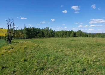Oferta sprzedaży działki 2852m2 Chrząstówka